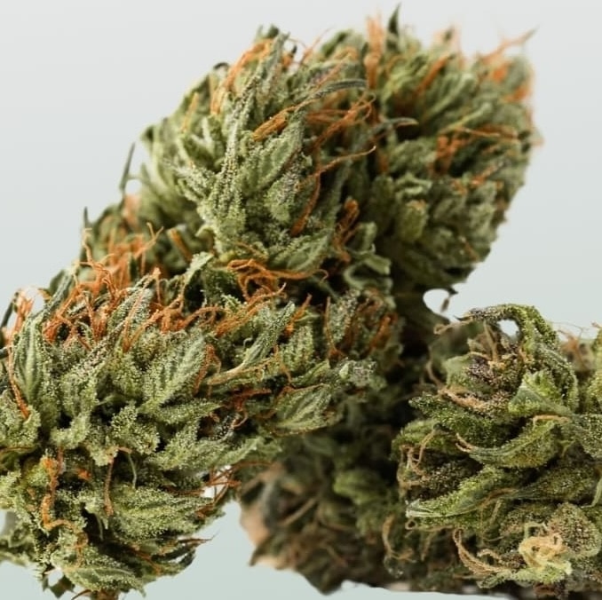 Meilleure magasin, boutique, shop de CBD à Thire (85) 